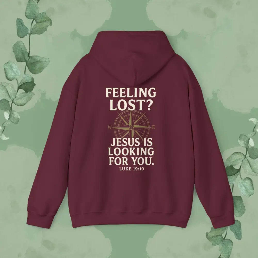 Feeling Lost? Jesus is Looking for You – Luke 19:10 Compass Hoodie - Hoodie