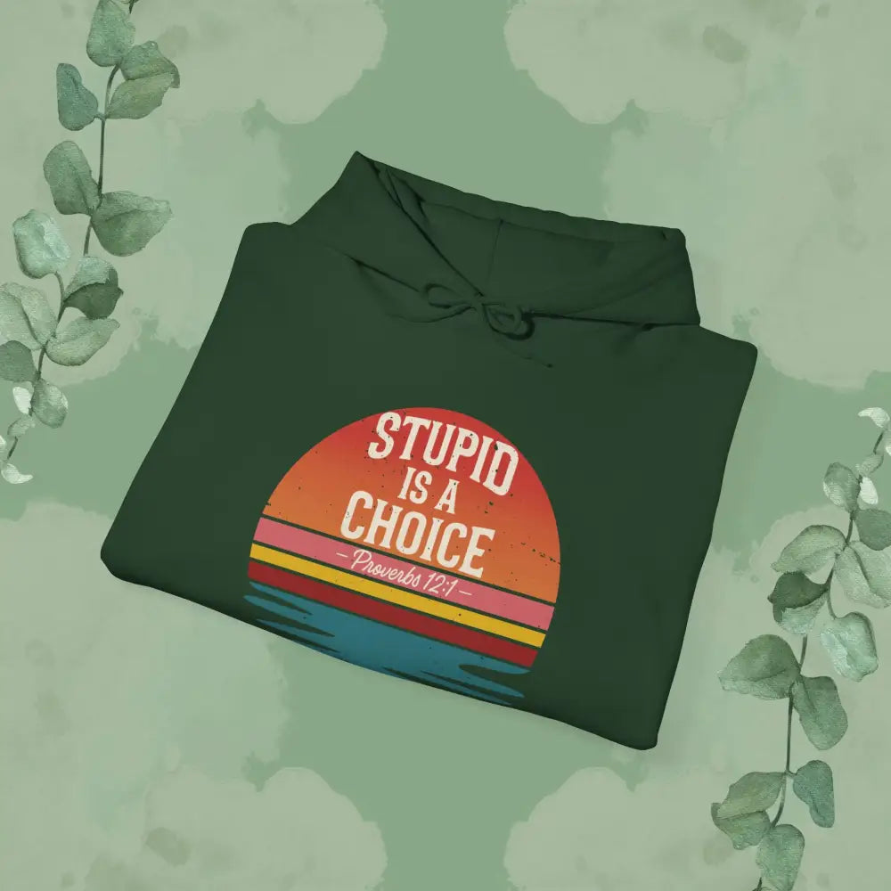 Stupid Is a Choice – Proverbs 12:1 Hoodie - Hoodie