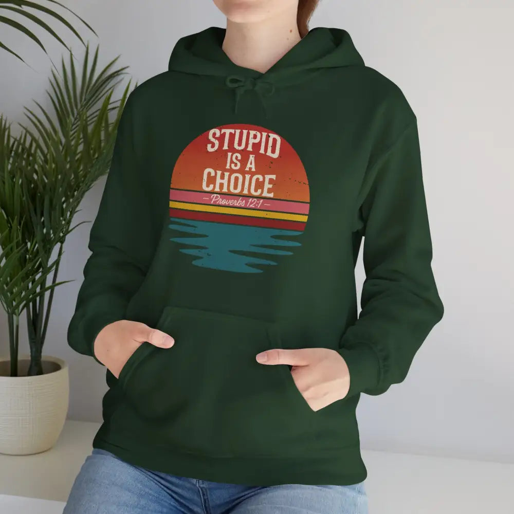 Stupid Is a Choice – Proverbs 12:1 Hoodie - Hoodie