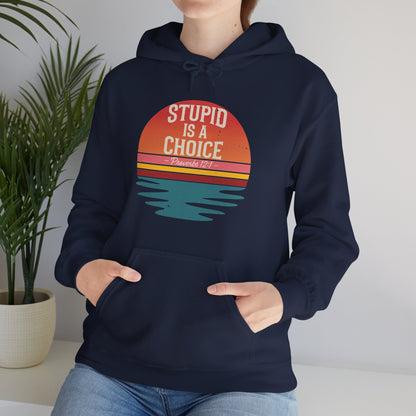 Stupid Is a Choice – Proverbs 12:1 Hoodie
