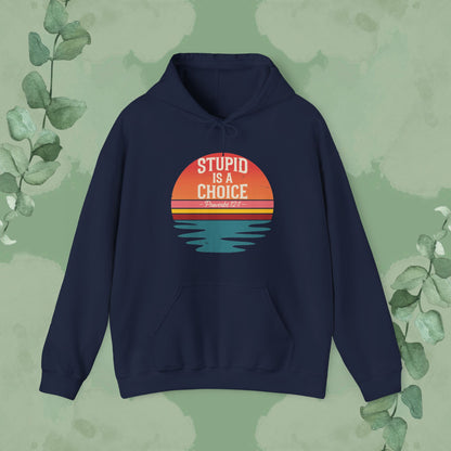 Stupid Is a Choice – Proverbs 12:1 Hoodie