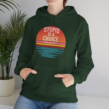 Stupid Is a Choice – Proverbs 12:1 Hoodie