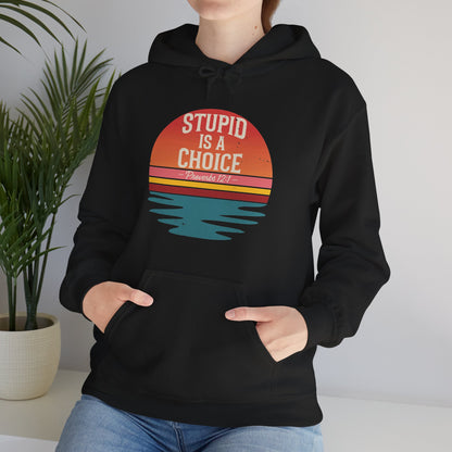 Stupid Is a Choice – Proverbs 12:1 Hoodie
