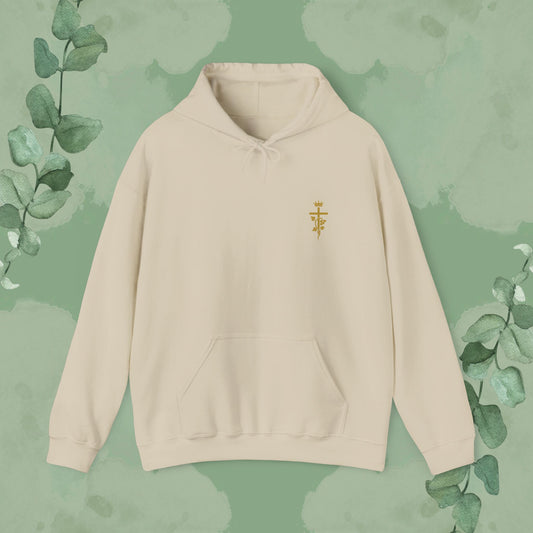 Abide – John 15:5 Christian Hoodie – Vine & Cross Design