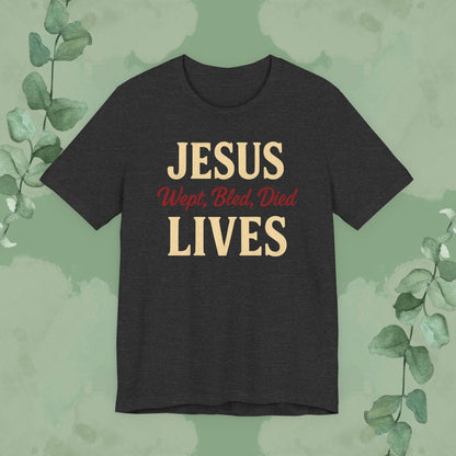 Jesus Wept, Bled, Died, Lives Christian T-Shirt